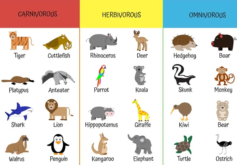 Herbivorous animals