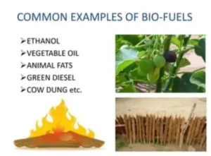 common examples of biofuels