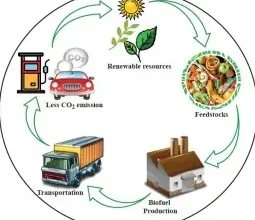 EXAMPLES OF BIOFUELS
