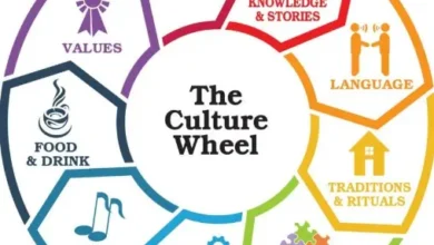 Types OF Emerging Culture