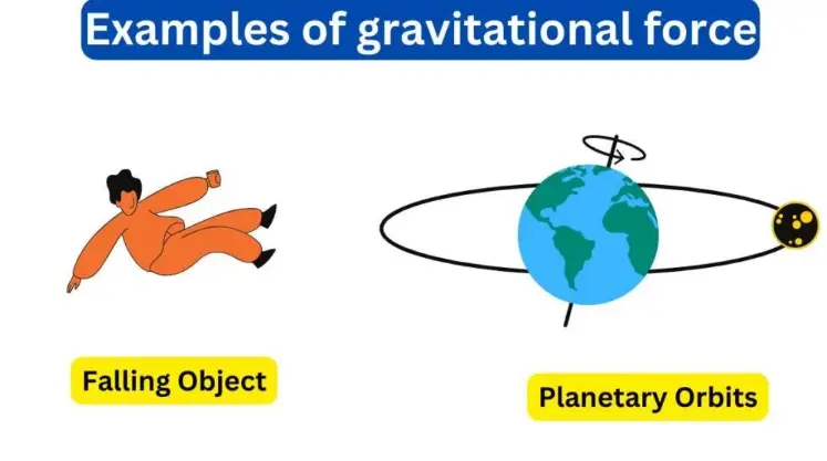 Examples Of Force Of Gravity