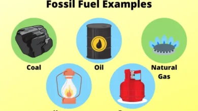 Examples Of Natural And Artificial Fuels
