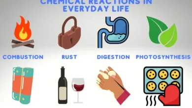 Examples of chemistry in everyday life
